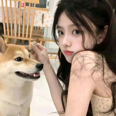 探险活宝第二季